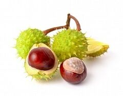 ippocastano in HondroFrost per l'artrite